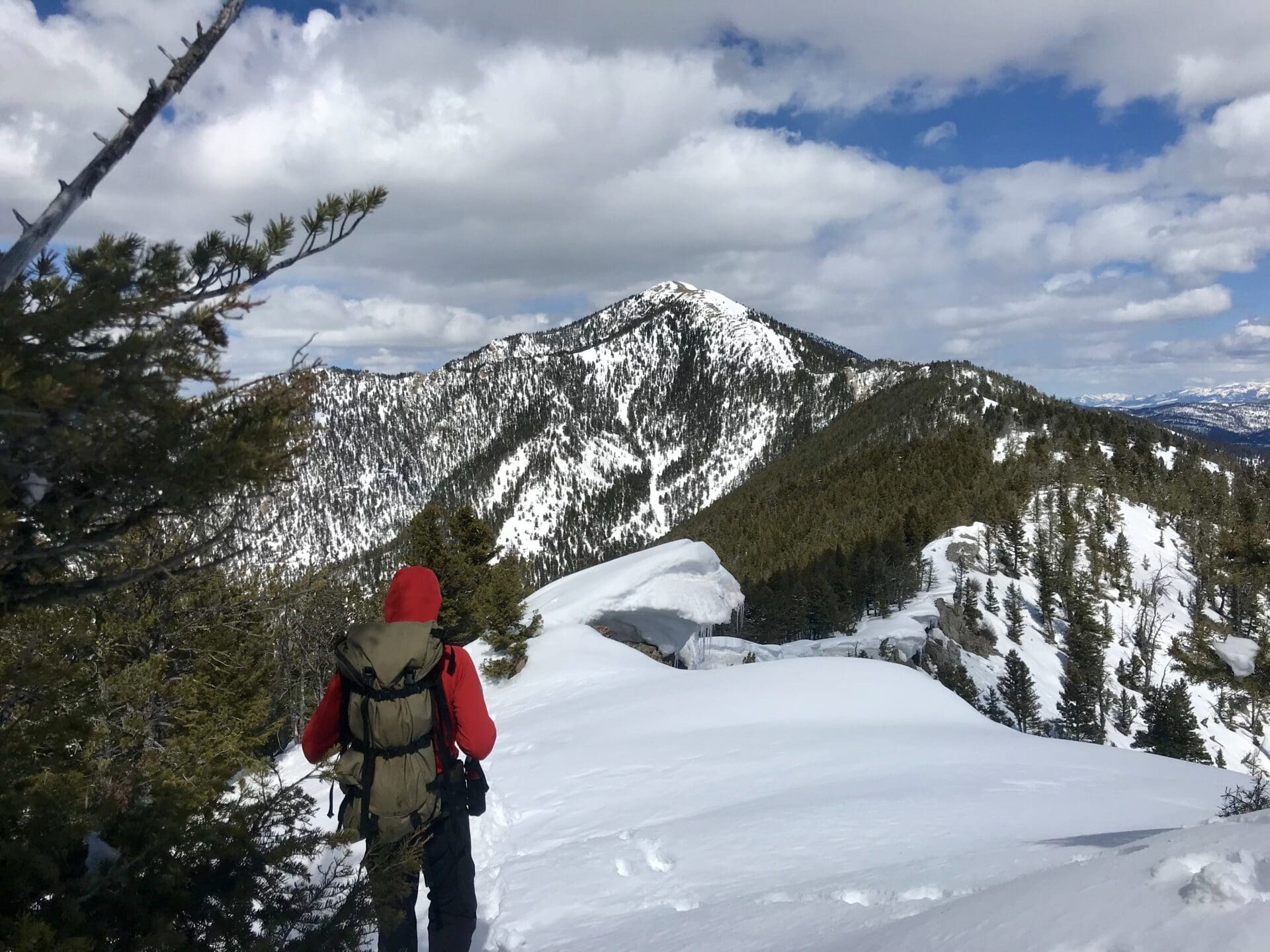 A hiker with a backpack stands facing a snow-covered mountain range under a cloudy sky.