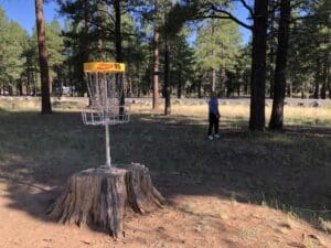 A man playing disc golf