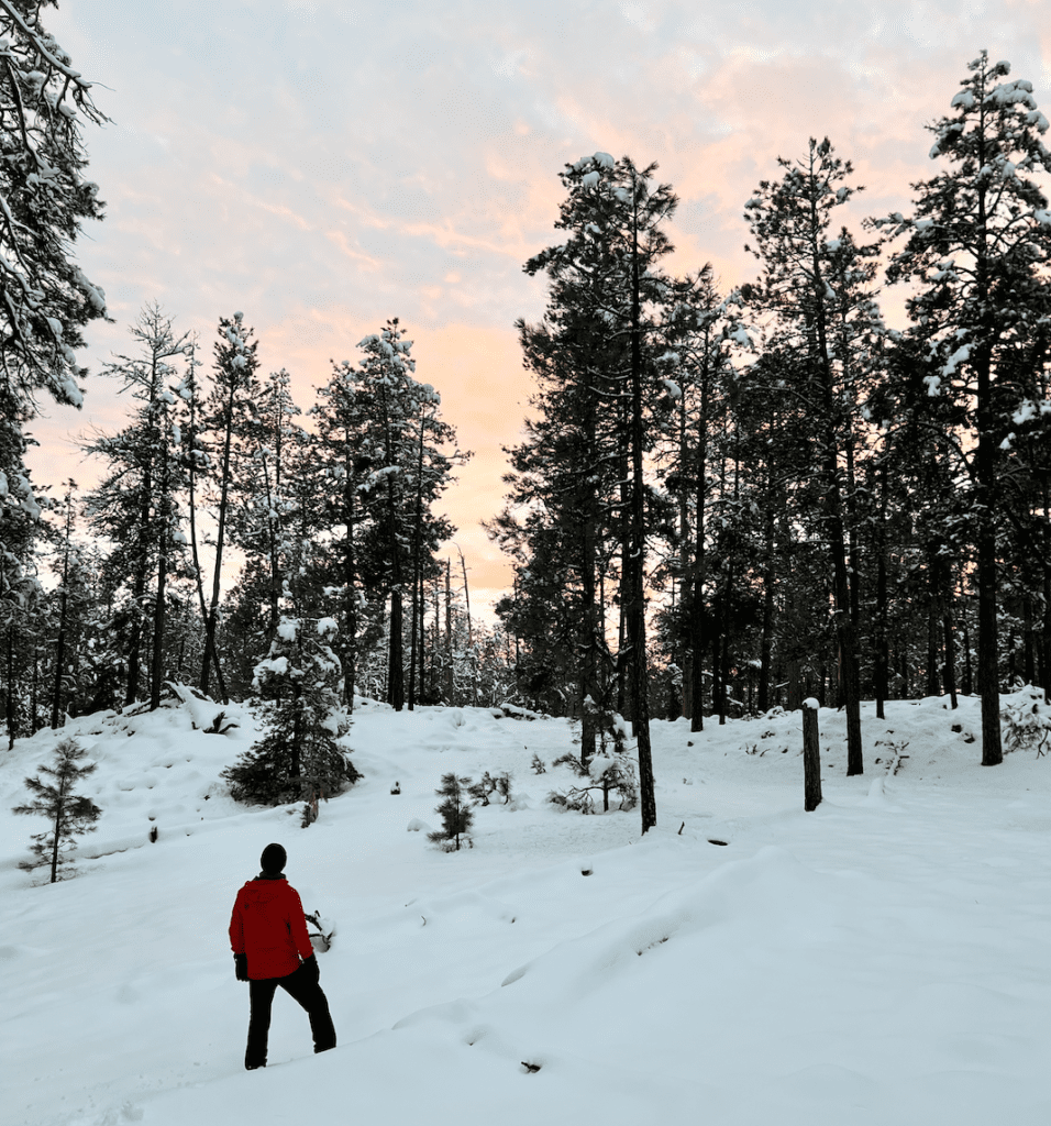 A person in red jacket standing on snow covered ground.