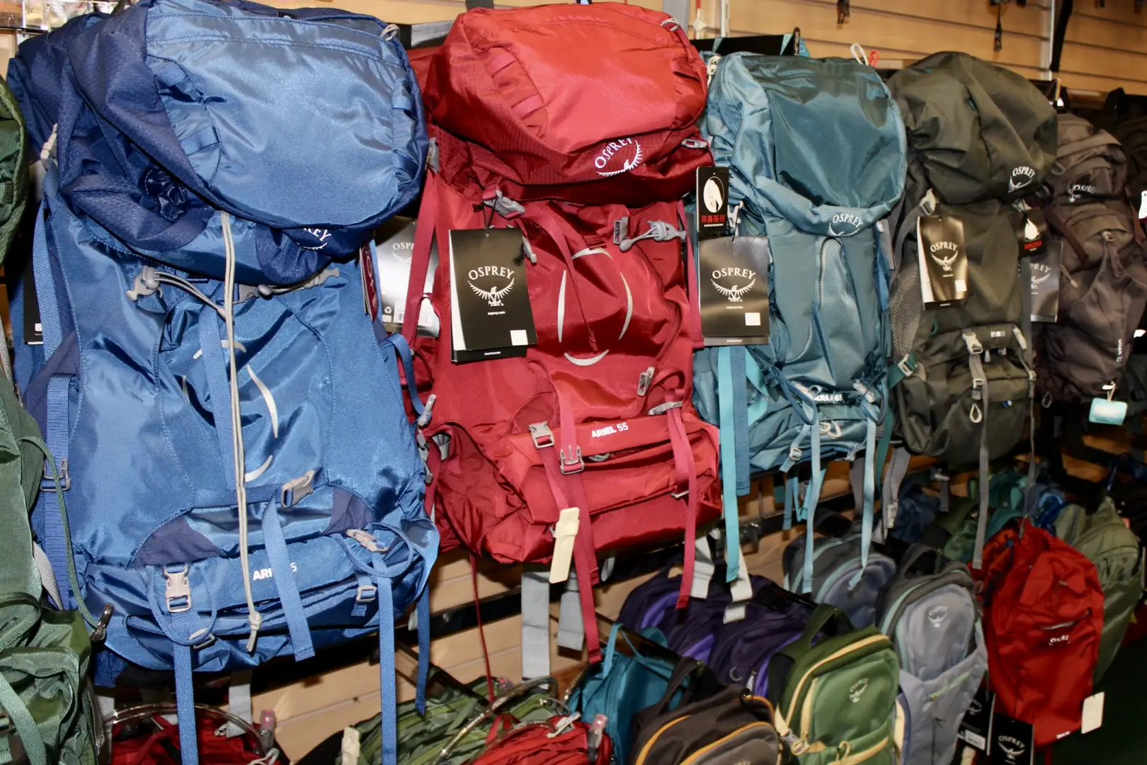 A wall of backpacks and bags are lined up.