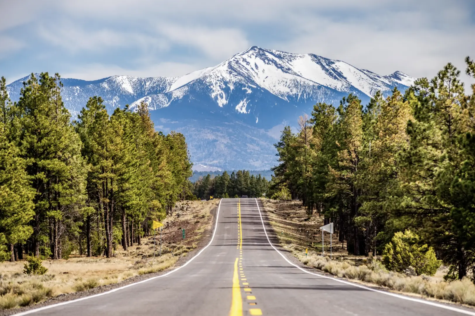 A road with trees and mountains in the background