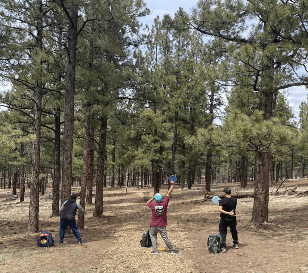 Three people in a forest with trees