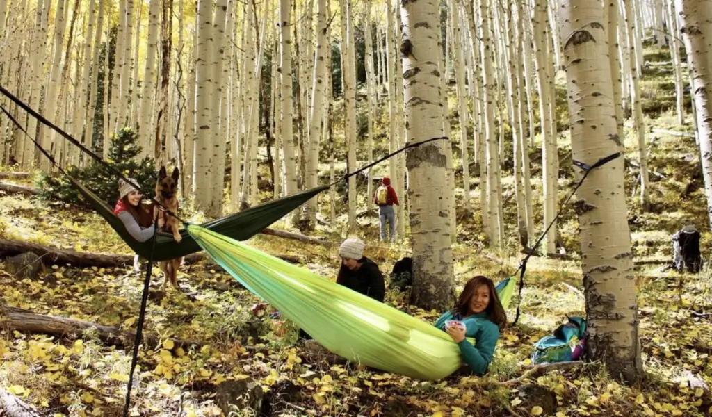 A group of people hanging out in the woods