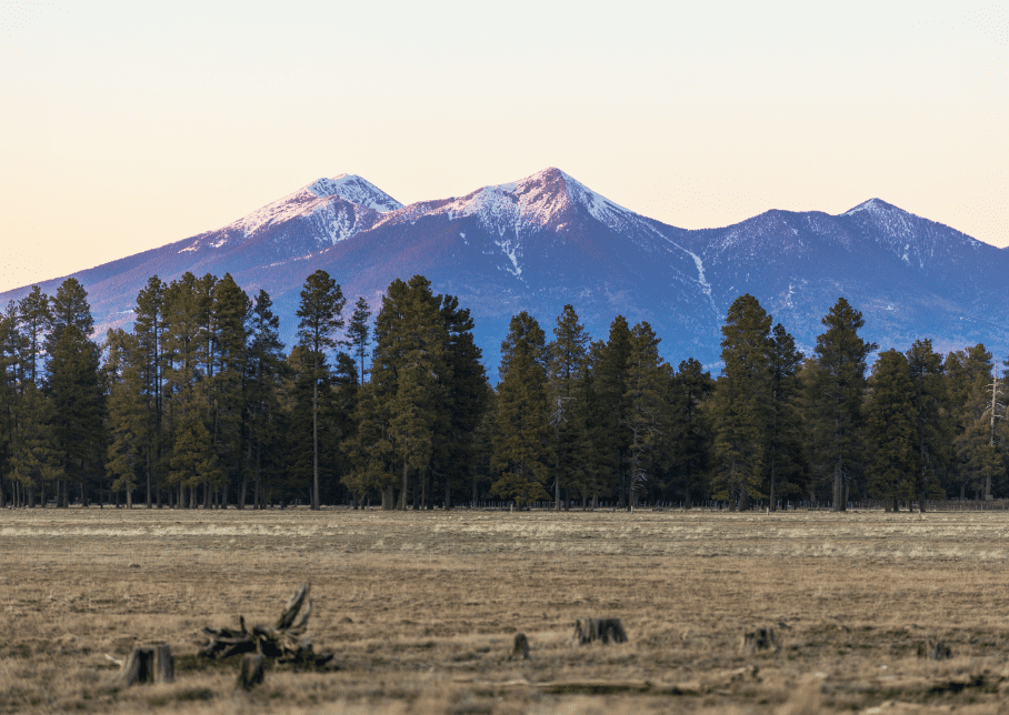 A field with trees and mountains in the background