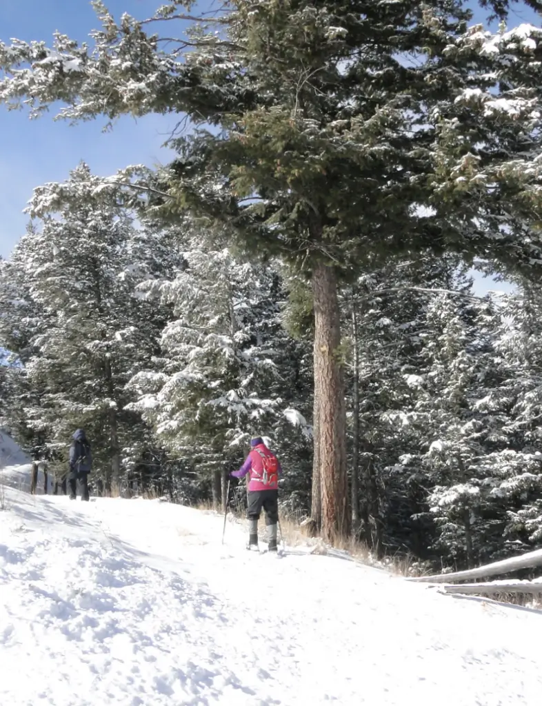 A person is skiing down the hill in the snow.