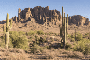 A desert landscape with cactus and mountains in the background.