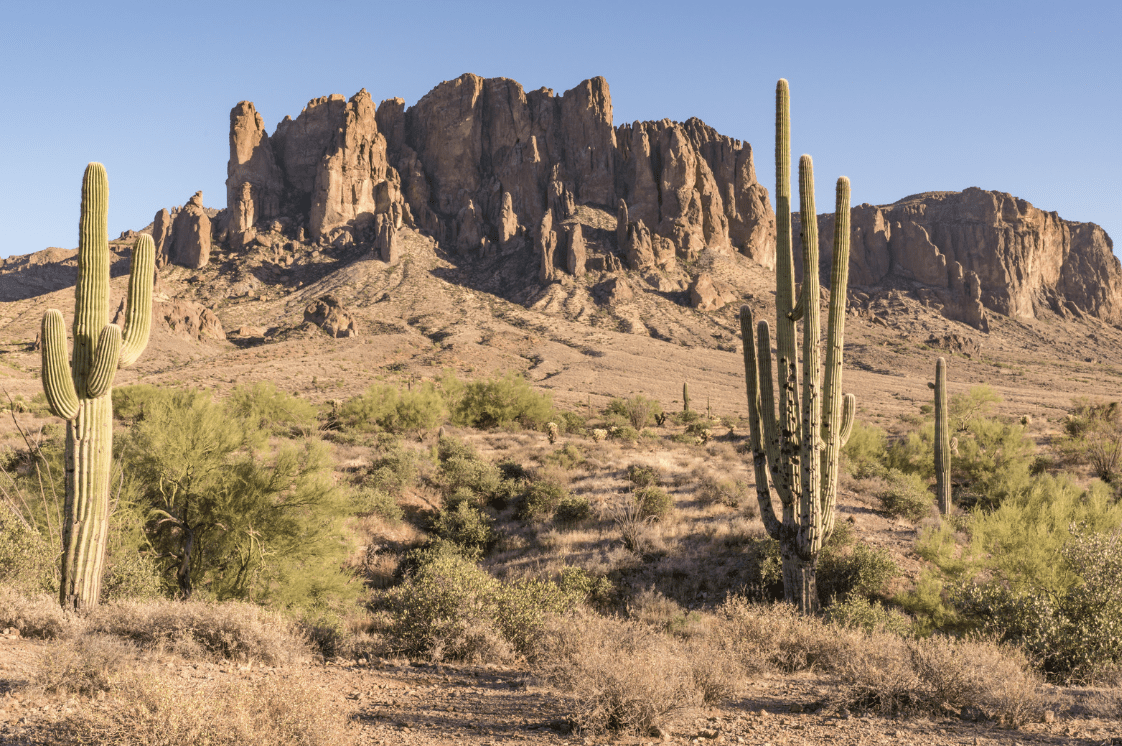 A desert landscape with cactus and mountains in the background.