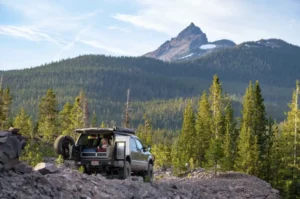 Truck parked in mountain forest.