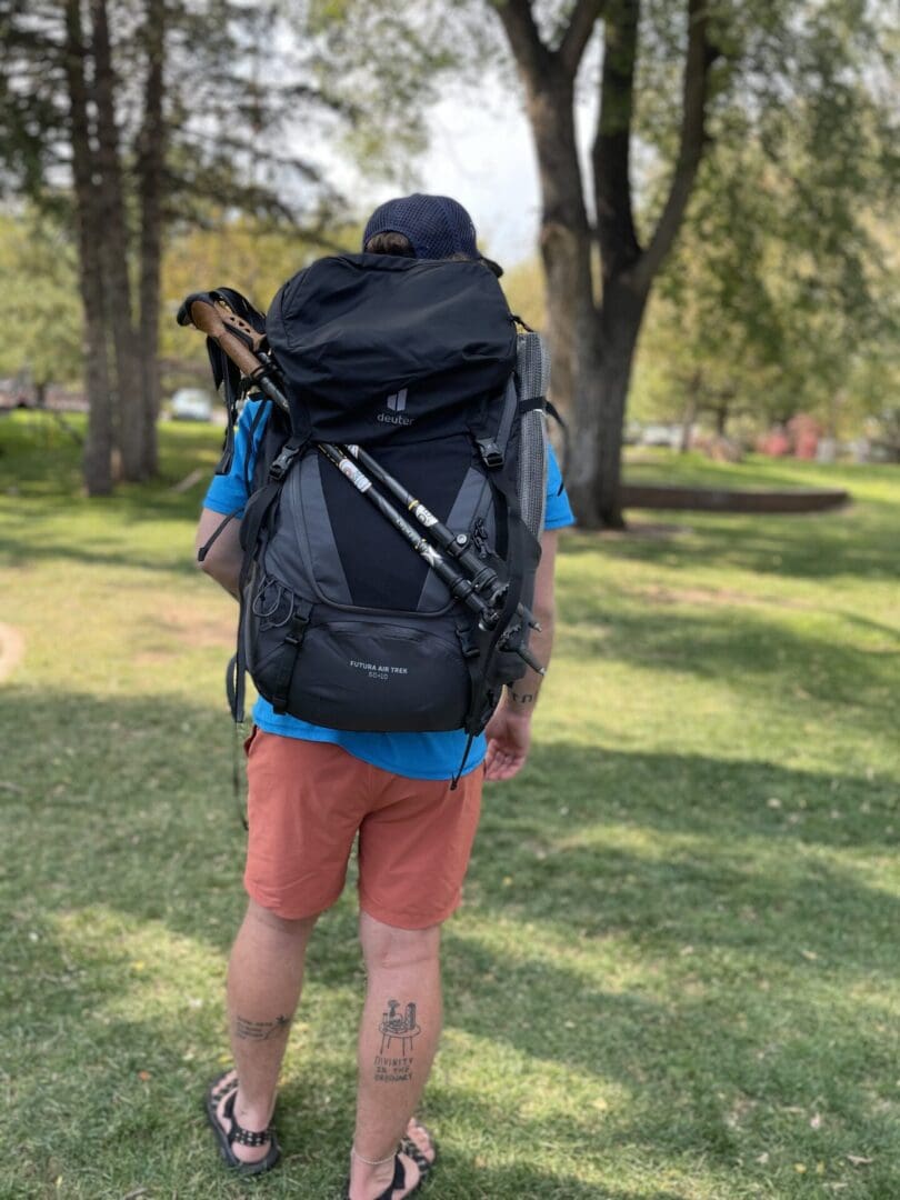 Person wearing a backpack and hiking poles.