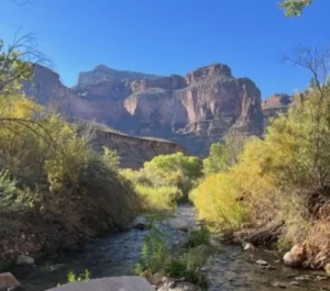 Canyon river scene with autumn foliage.