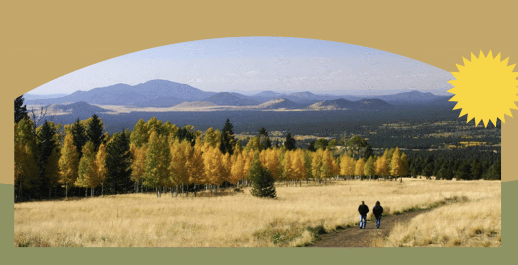 fall colors in flagstaff