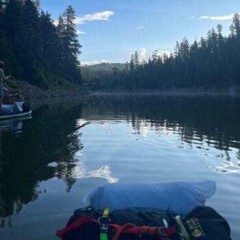 A person paddles on a lake surrounded by trees.