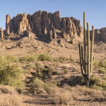 A desert landscape with cactus and mountains in the background.