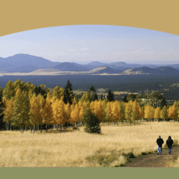 fall colors in flagstaff